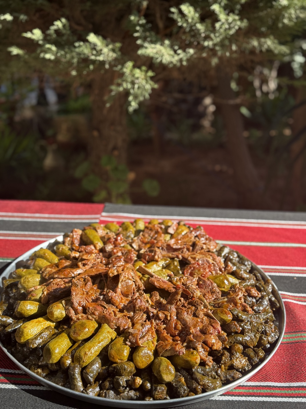 ورق عنب وكوسا
